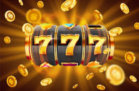 z44 apk